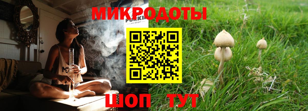 Галлюциногенные грибы Cubensis Одинцово