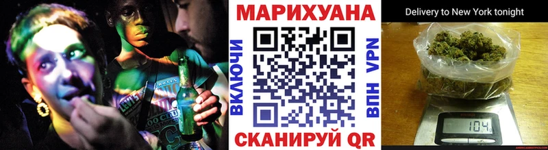 Конопля сатива  Одинцово 